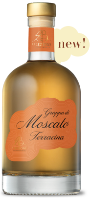 Moscato di Terracina